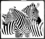 ART ZEBRA HUG