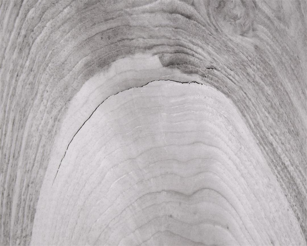 CABINET 2-DOOR BLACK & WHITE BRUSHED BRASS #58835