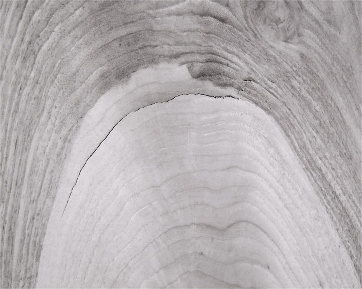 CABINET 2-DOOR BLACK & WHITE BRUSHED BRASS #58835