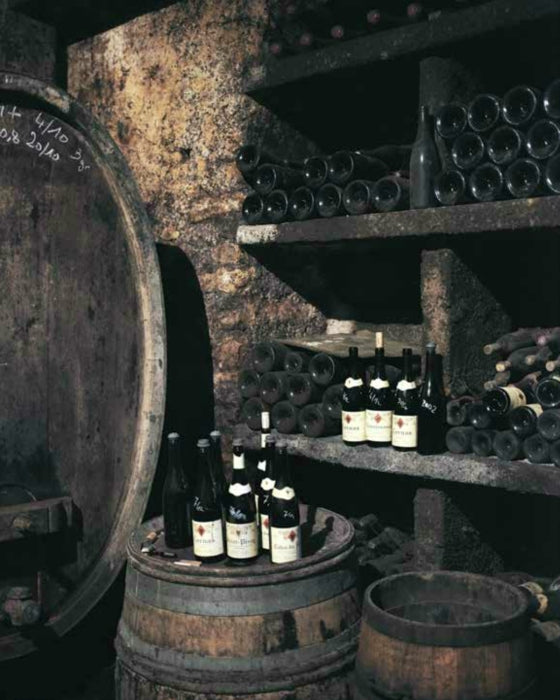 BOOK "SOMMELIER'S ATLAS OF TASTE" #70441