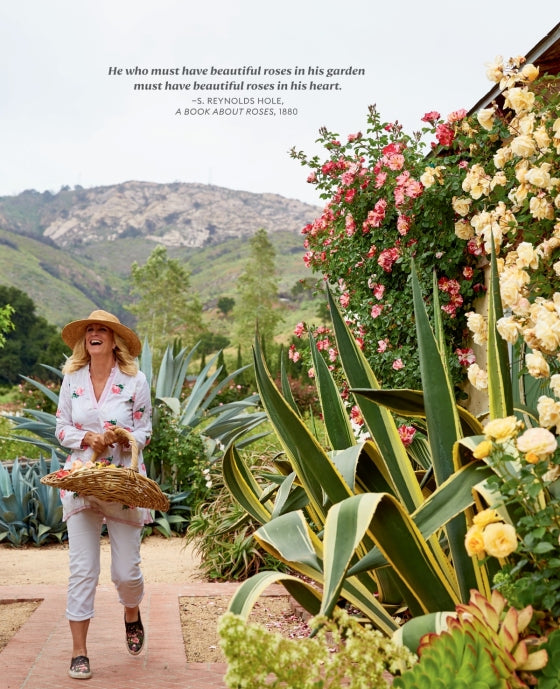 BOOK "COLOR OF ROSES" #70442