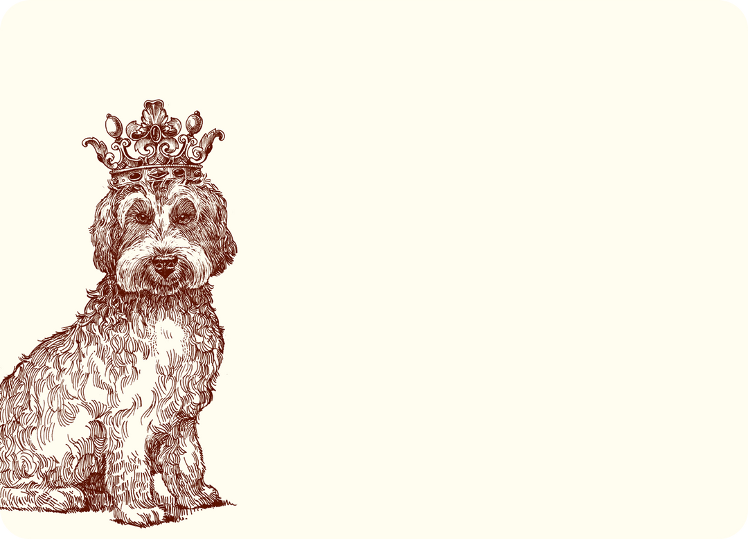 NOTES ROYAL LABRADOODLE A6 #78756