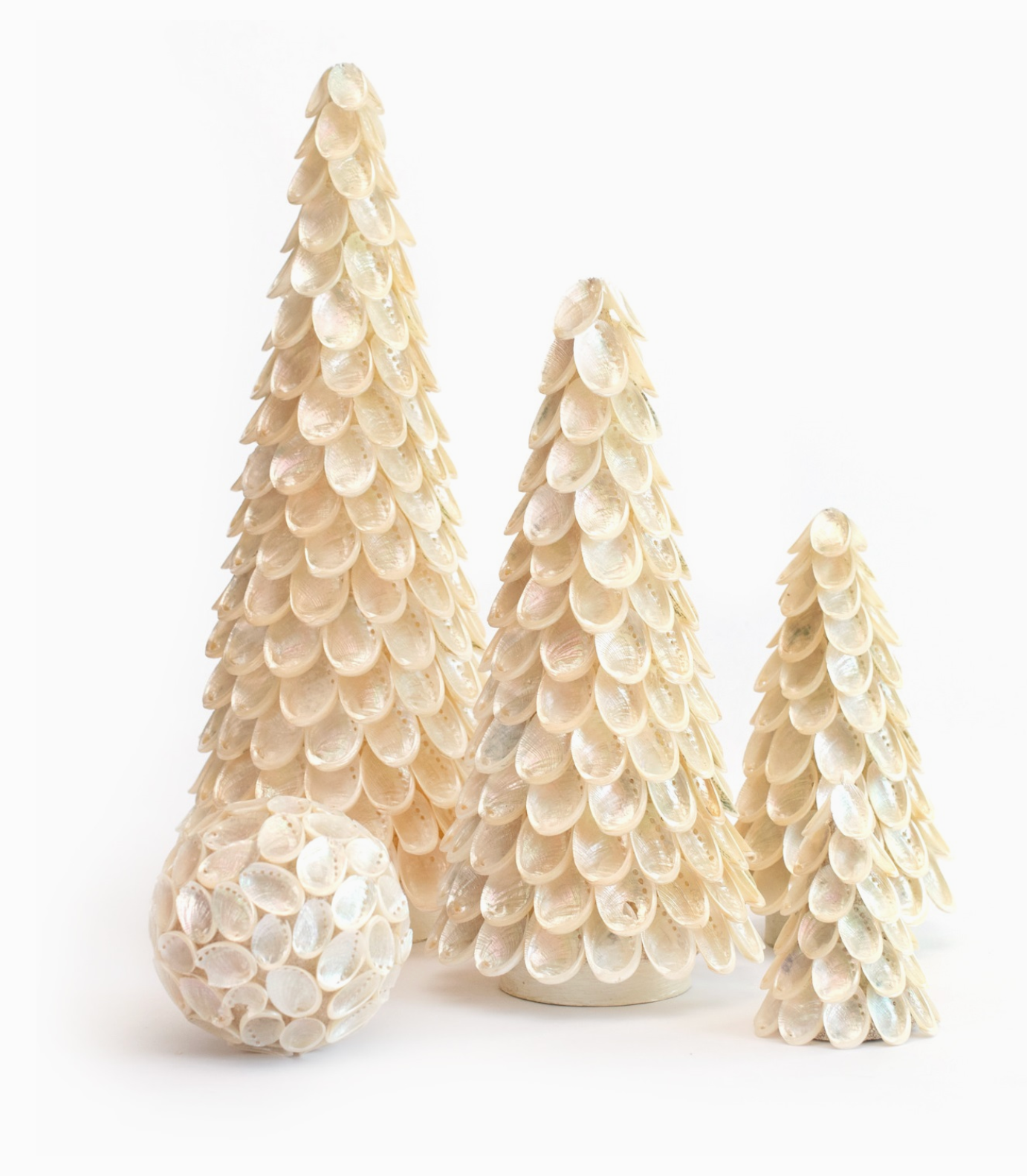 ORNAMENT CONE TREE SHELL ECRU