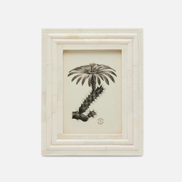 FRAME NATURAL BONE LAYERED