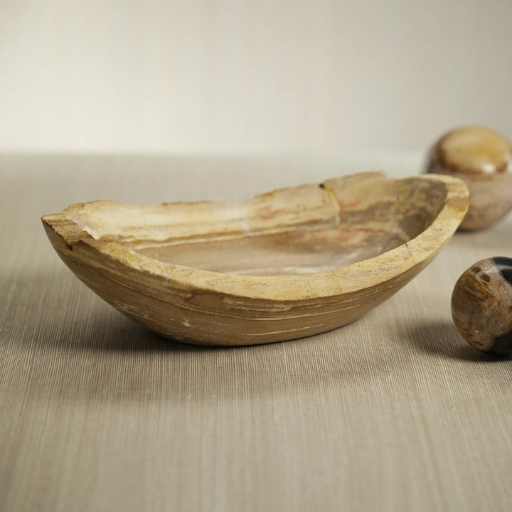 BOWL PETRIFIED WOOD OVAL MEDIUM #65398