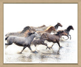 ART FREE TO RUN