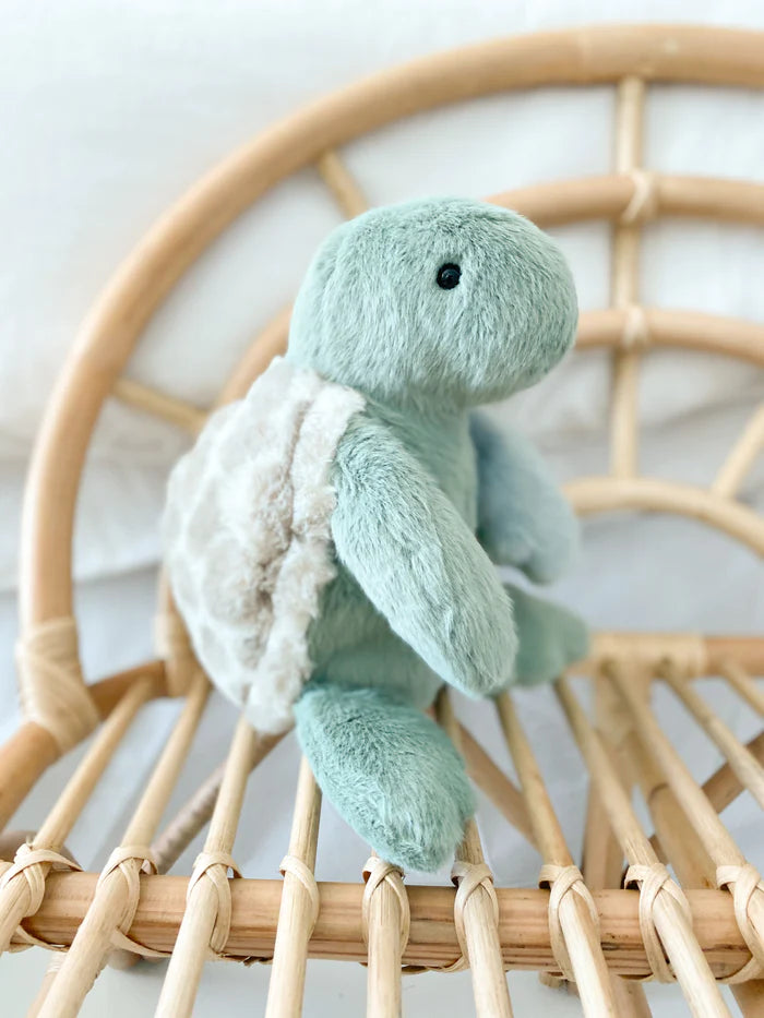 TOY  PLUSH CUDDLE TURTLE #66586