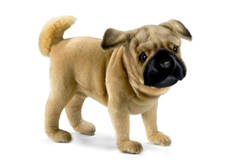 TOY PUG