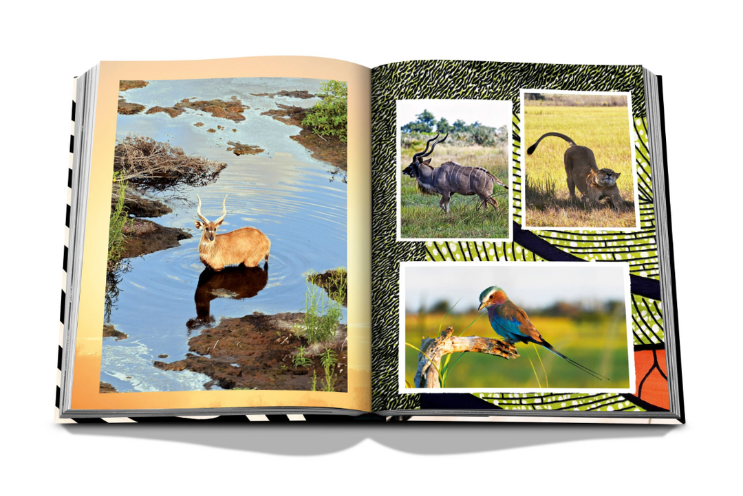 BOOK "AFRICAN ADVENTURES" #69525