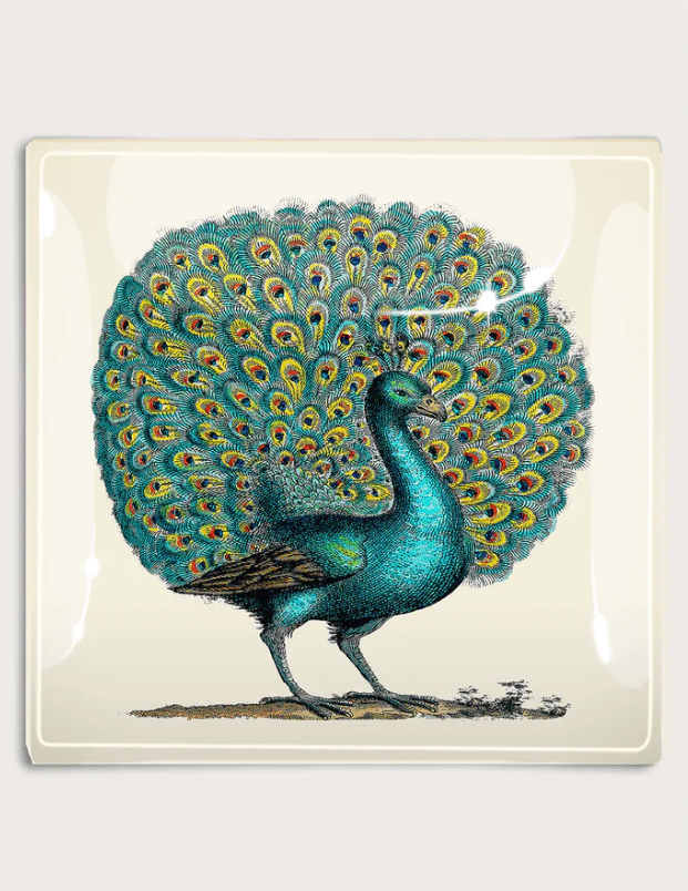 TRAY GLASS PEACOCK 10X10