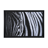 ART ZEBRA'S EYE