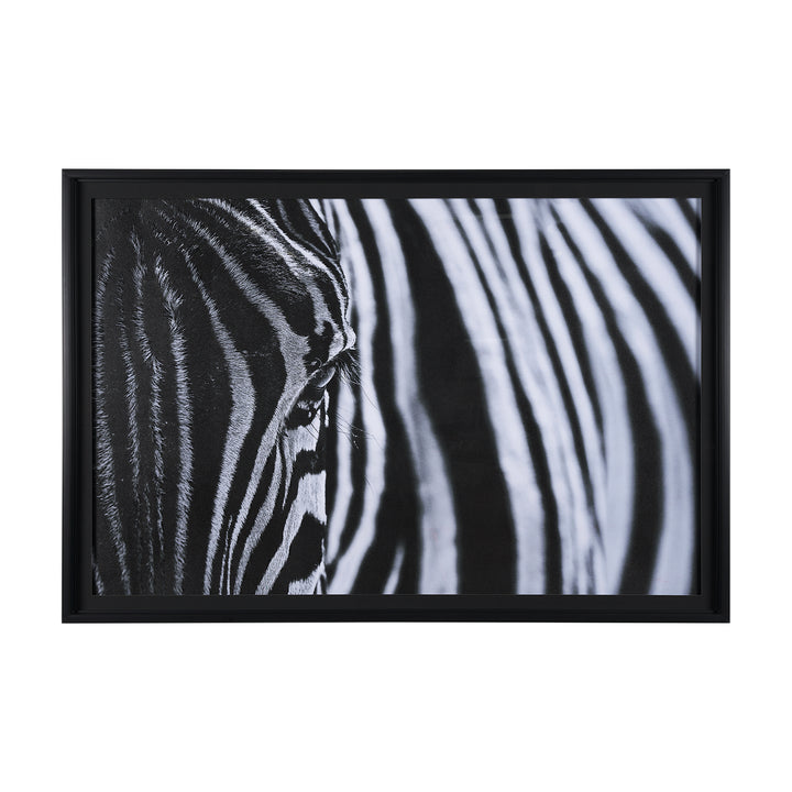 ART ZEBRA'S EYE #70377