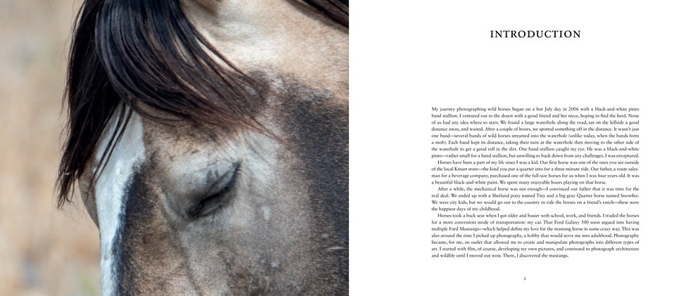 BOOK WILD HORSES OF THE WEST