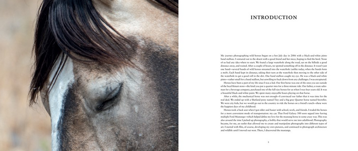 BOOK WILD HORSES OF THE WEST