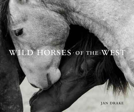 BOOK WILD HORSES OF THE WEST
