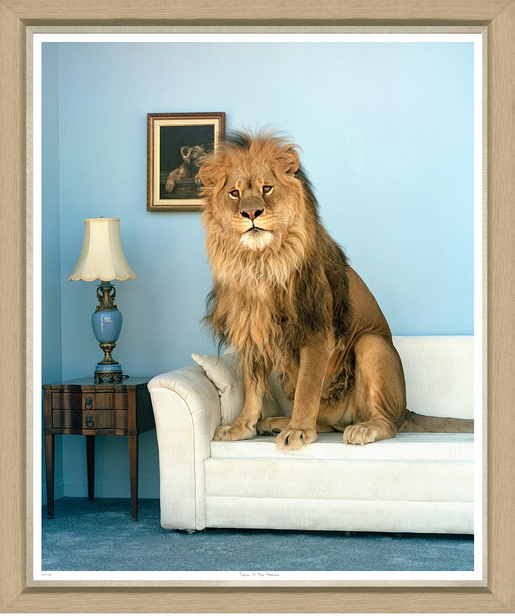 ART LION IN THE ROOM OAK