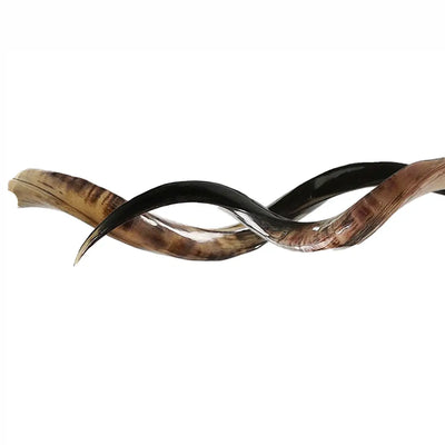 HORNS DARK LOOSE PAIR KUDU LARGE