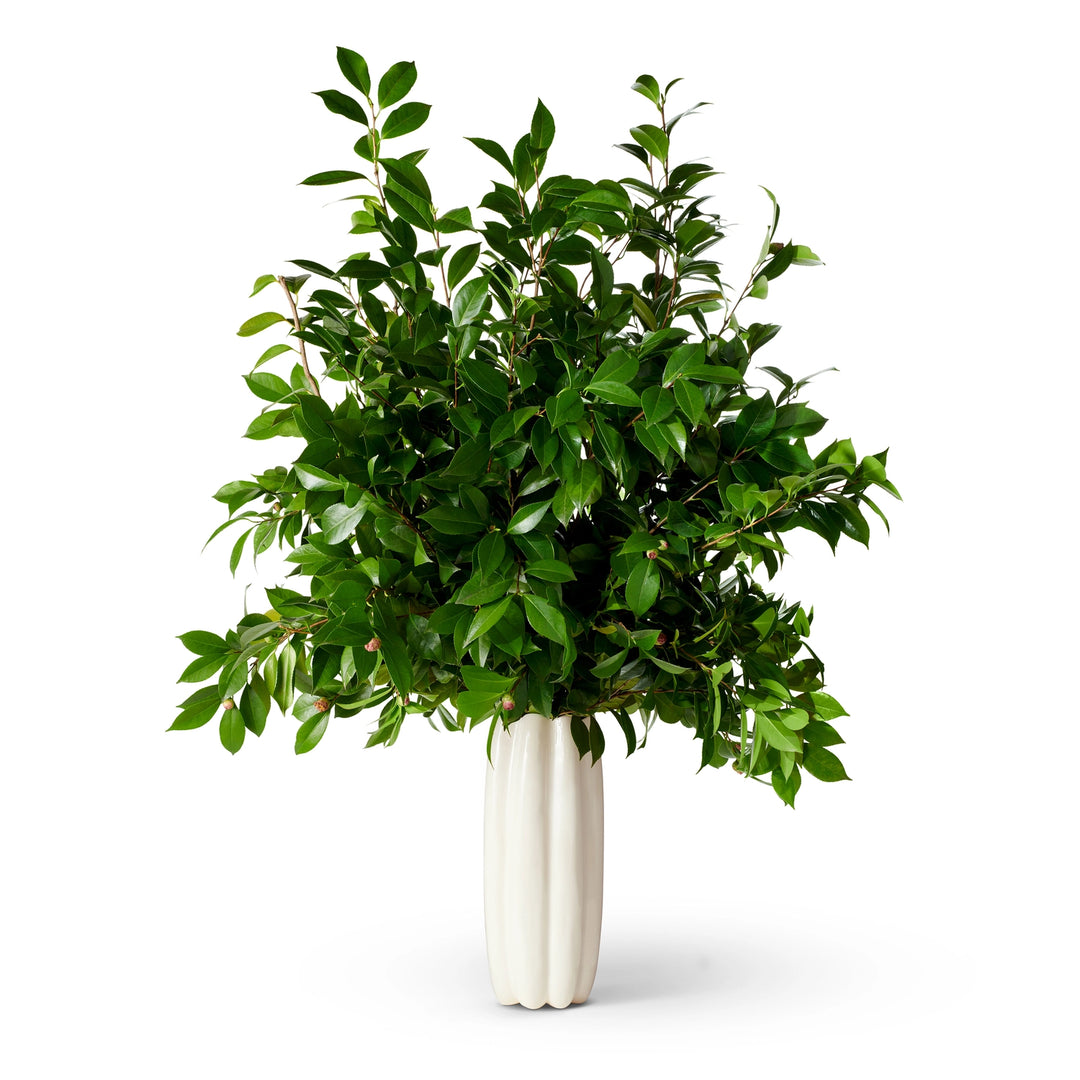 VASE MIRABELLE CREAM TALL #72247