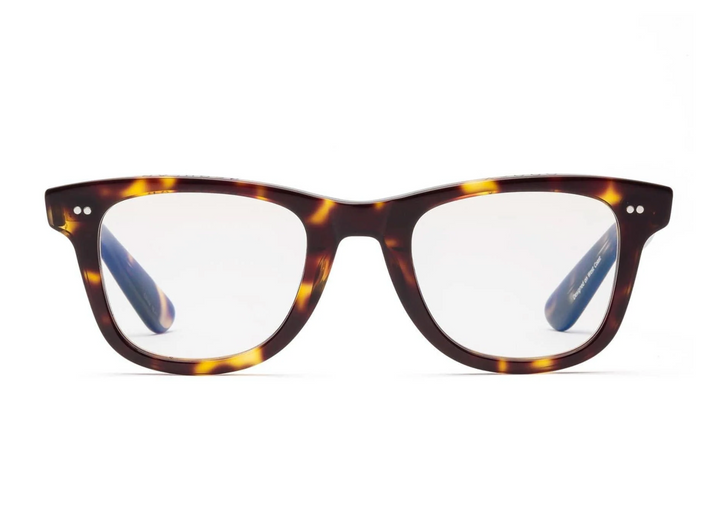 READERS PORGY TURTLE