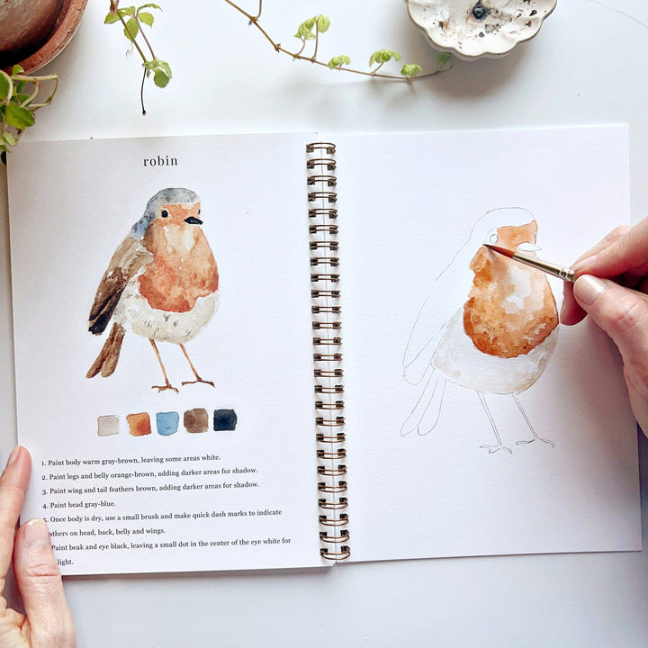 WORKBOOK WATERCOLOR BIRDS