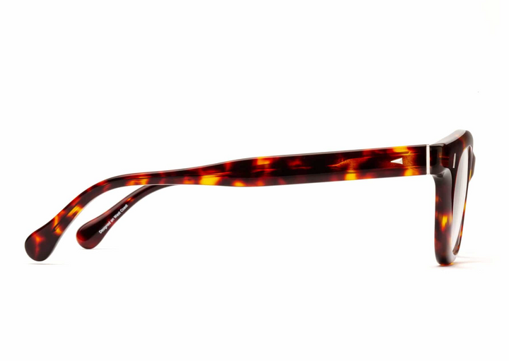 READERS WABI SABI TURTLE