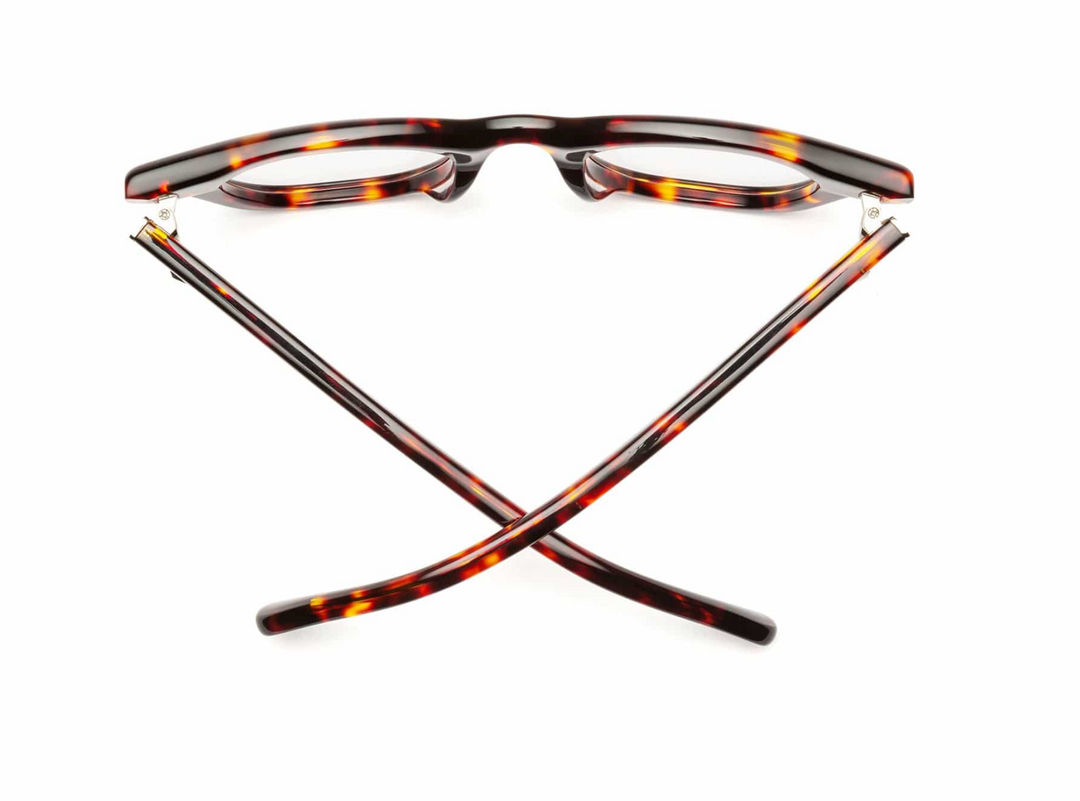 READERS WABI SABI TURTLE