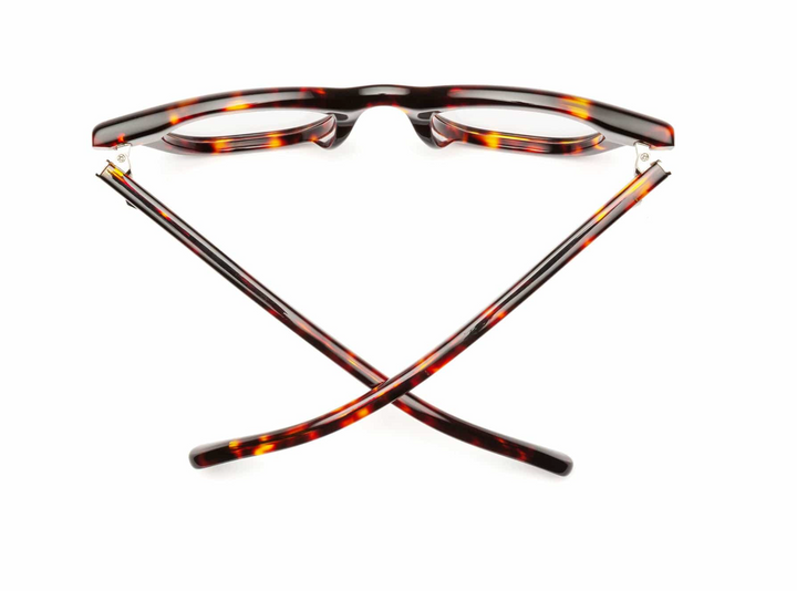 READERS WABI SABI TURTLE