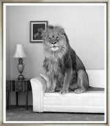 ART LION IN THE ROOM B&W