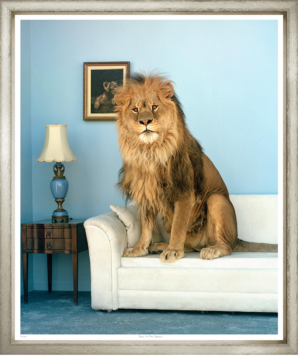 ART LION IN THE ROOM