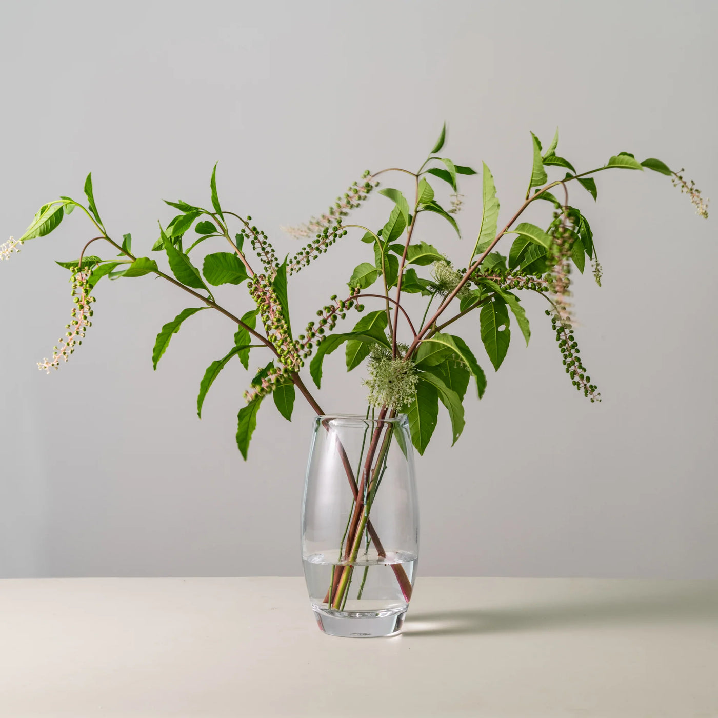 VASE BURLINGTON LARGE #74655