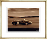 ART RACING CARS X
