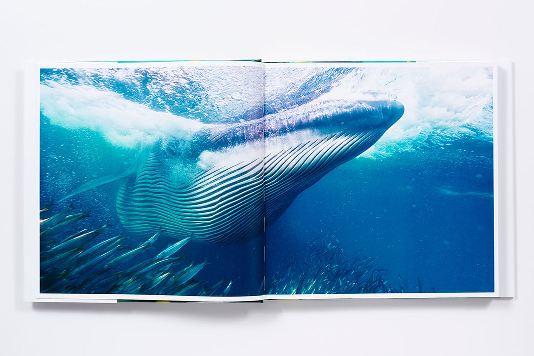 BOOK THE SEA