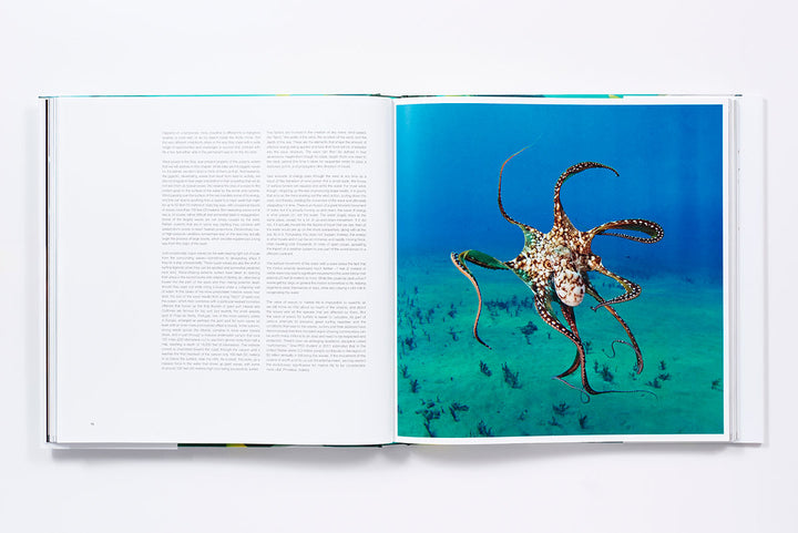 BOOK THE SEA