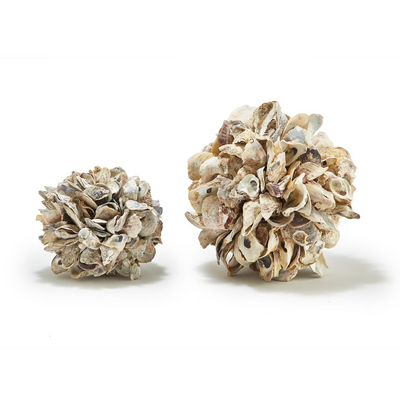 DECORATIVE BALL SHELL OYSTER (Available in 2 Sizes)