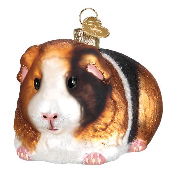 ORNAMENT GUINEA PIG