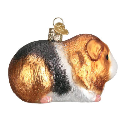 ORNAMENT GUINEA PIG