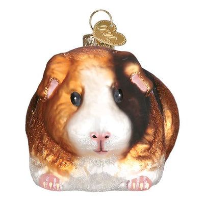 ORNAMENT GUINEA PIG