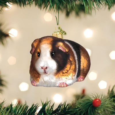 ORNAMENT GUINEA PIG