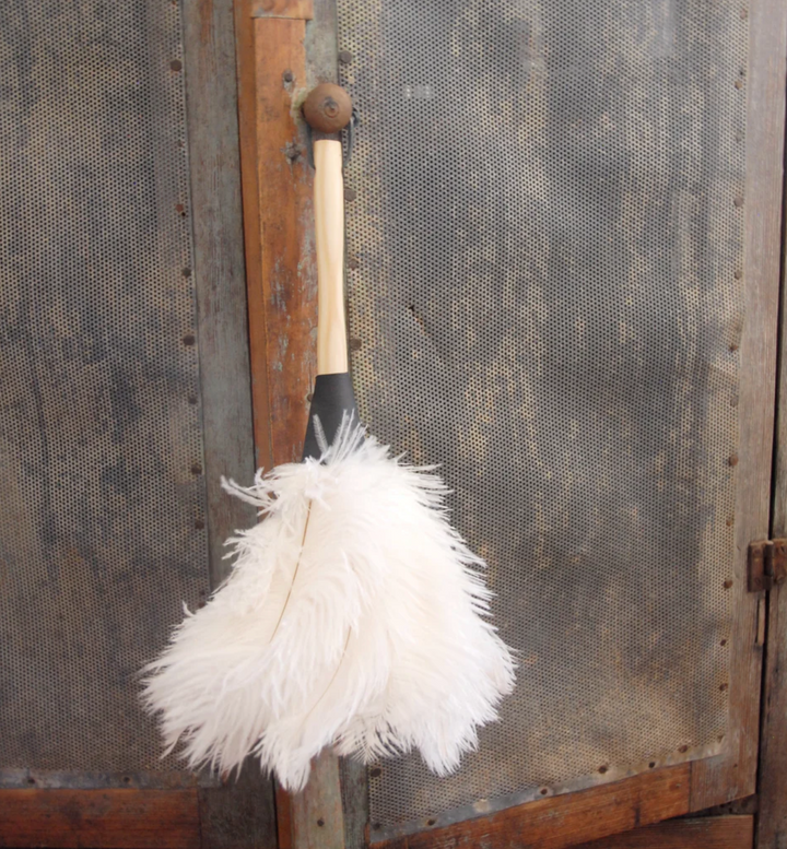 FEATHER DUSTER CREAM #77107