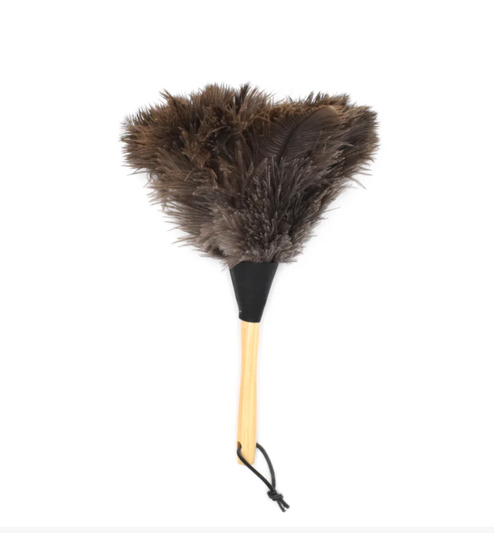 FEATHER DUSTER BROWN #77106