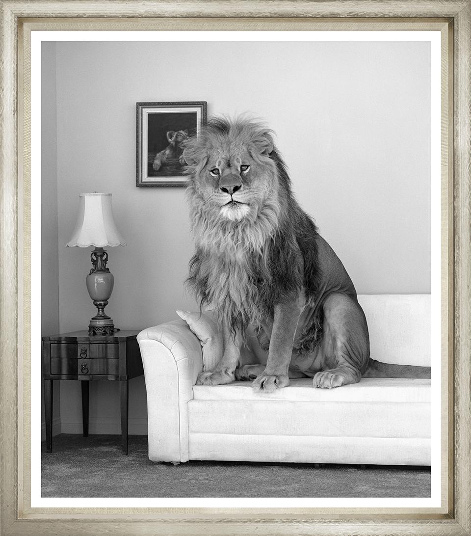 ART LION IN THE ROOM B&W