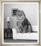 ART LION IN THE ROOM B&W