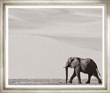 ART MIGHTY ELEPHANT 19X23 CHROME