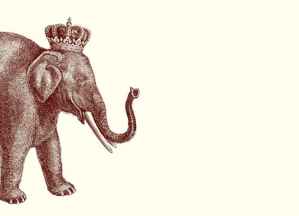 NOTES LUCKY ELEPHANT A6 #78728