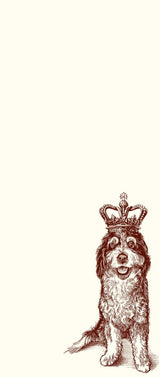 LONG PAD ROYAL BERNE DOODLE