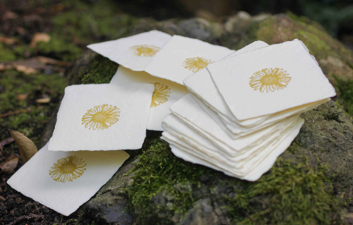 GREETING CARD "DAISY" #78908