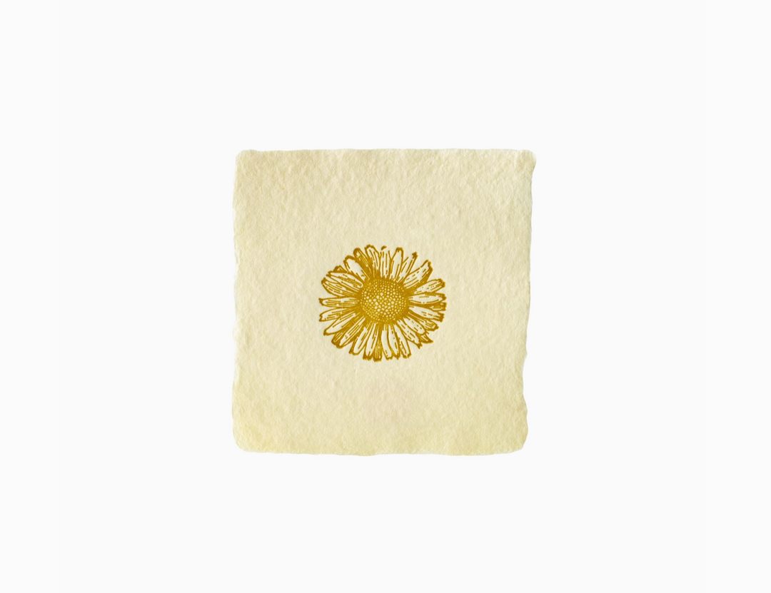 GREETING CARD "DAISY" #78908