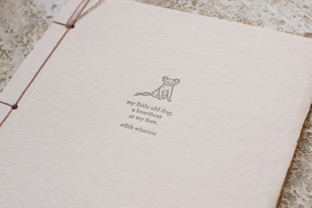 CARD "MY LITTLE OLD DOG" #78920