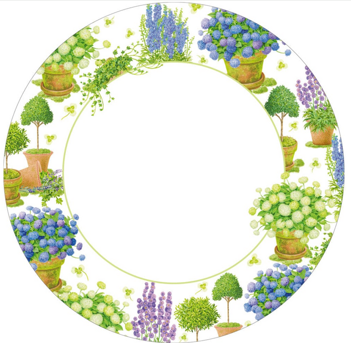 PLATE POTTED HYDRANGEAS