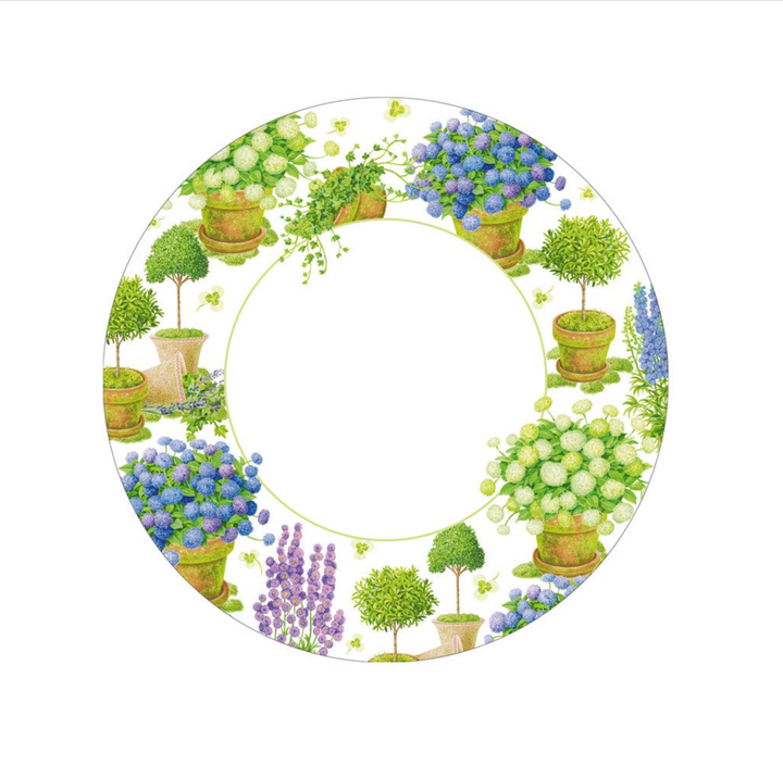 PLATE POTTED HYDRANGEAS